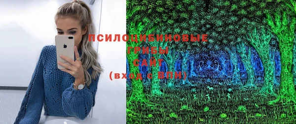 mdpv Нягань