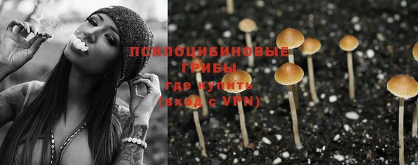 mdpv Нягань