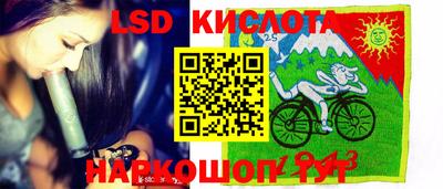 дживик Берёзовский