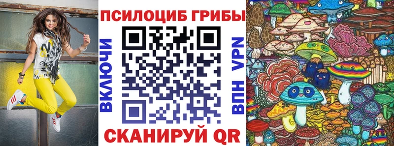 Псилоцибиновые грибы Psilocybine cubensis  MEGA как зайти  Воткинск  закладки 