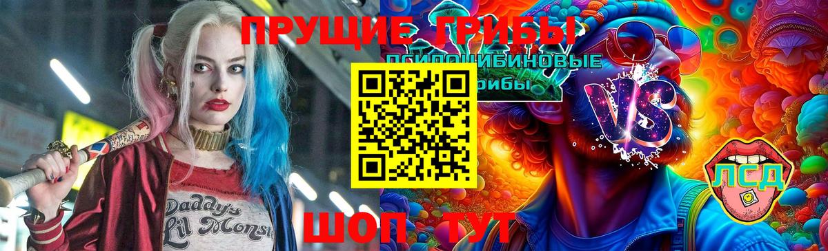 Псилоцибиновые грибы прущие грибы  Воткинск  Галлюциногенные грибы GOLDEN TEACHER 