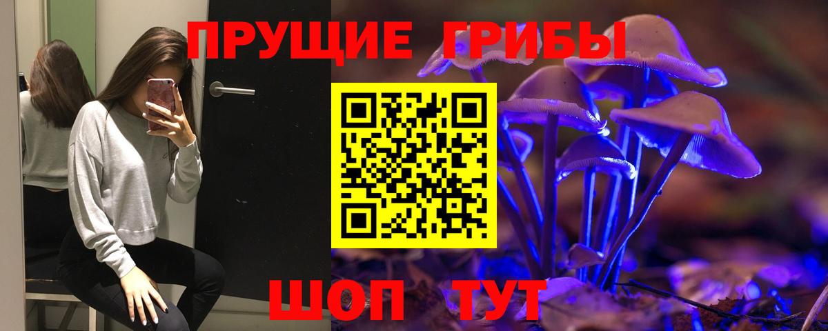 Воткинск  Галлюциногенные грибы мицелий  Вход с VPN 
